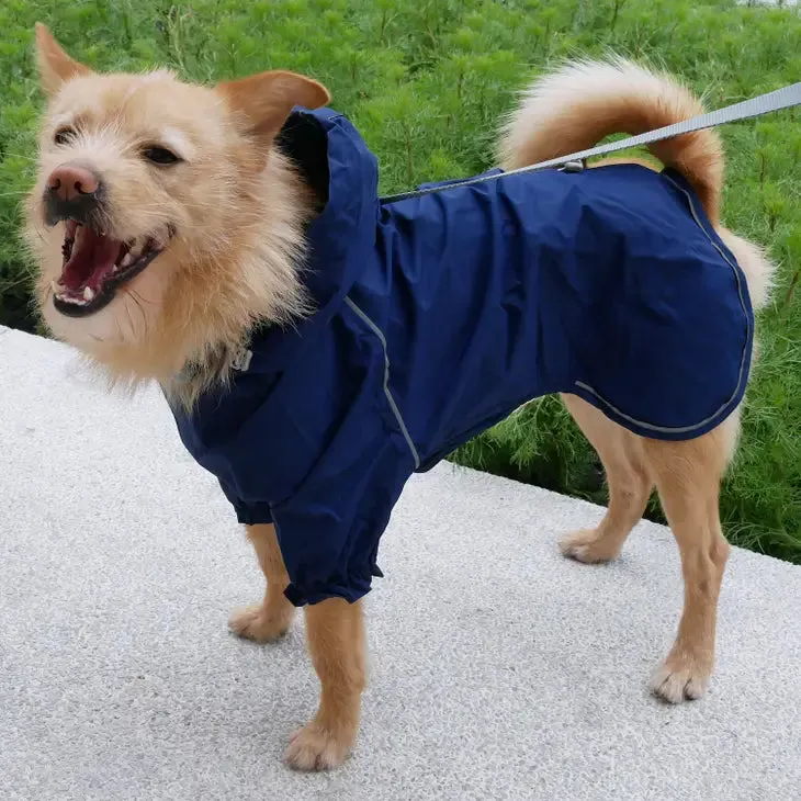 Blueberry Waterproof  Reflective Dog Raincoat with 2 Legs