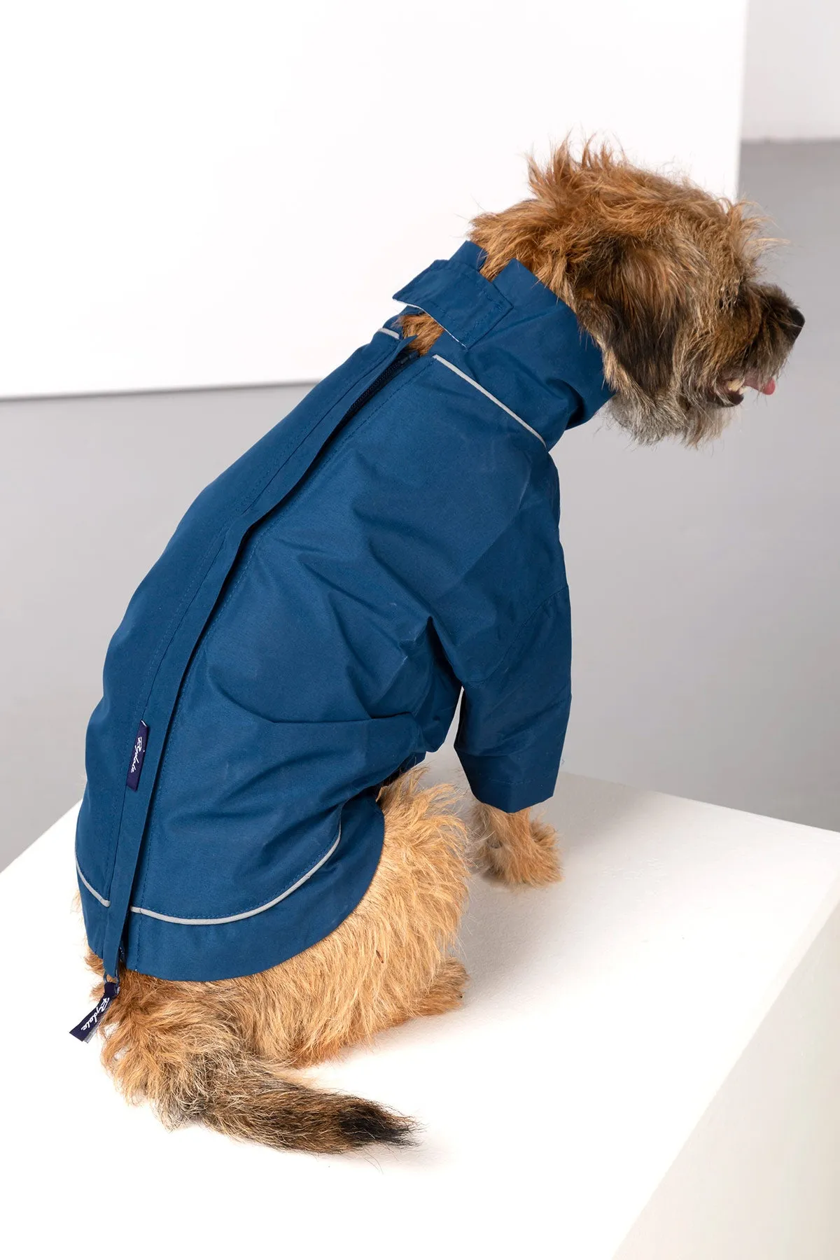 Dog Raincoats - Yapham