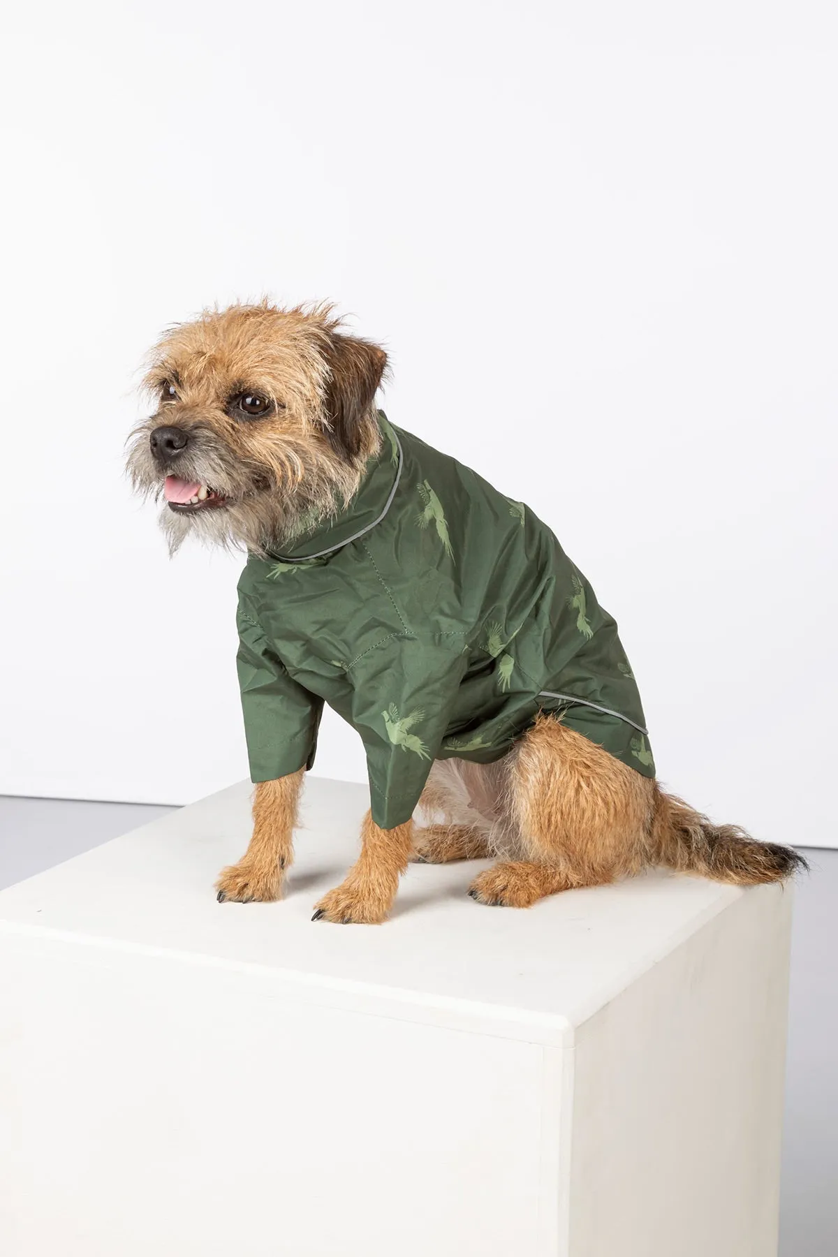 Dog Raincoats - Yapham