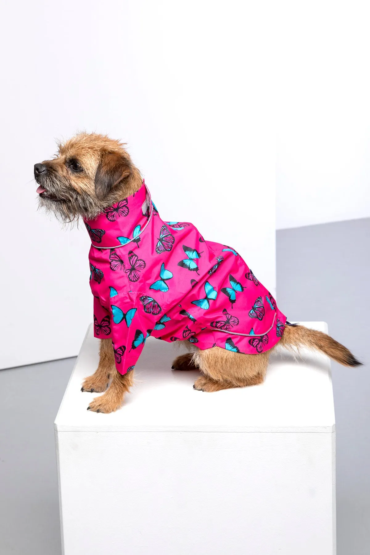 Dog Raincoats - Yapham