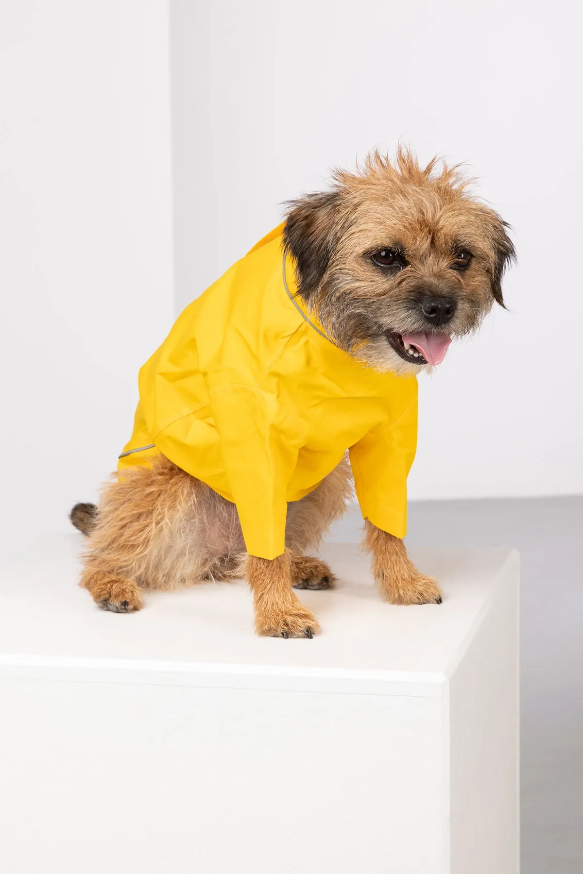 Dog Raincoats - Yapham