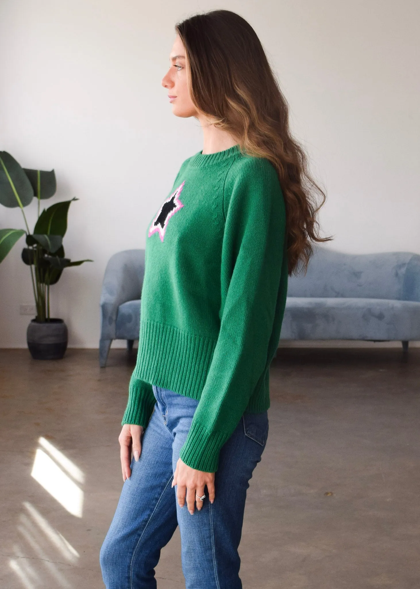 Echo Star Crew Neck Sweater