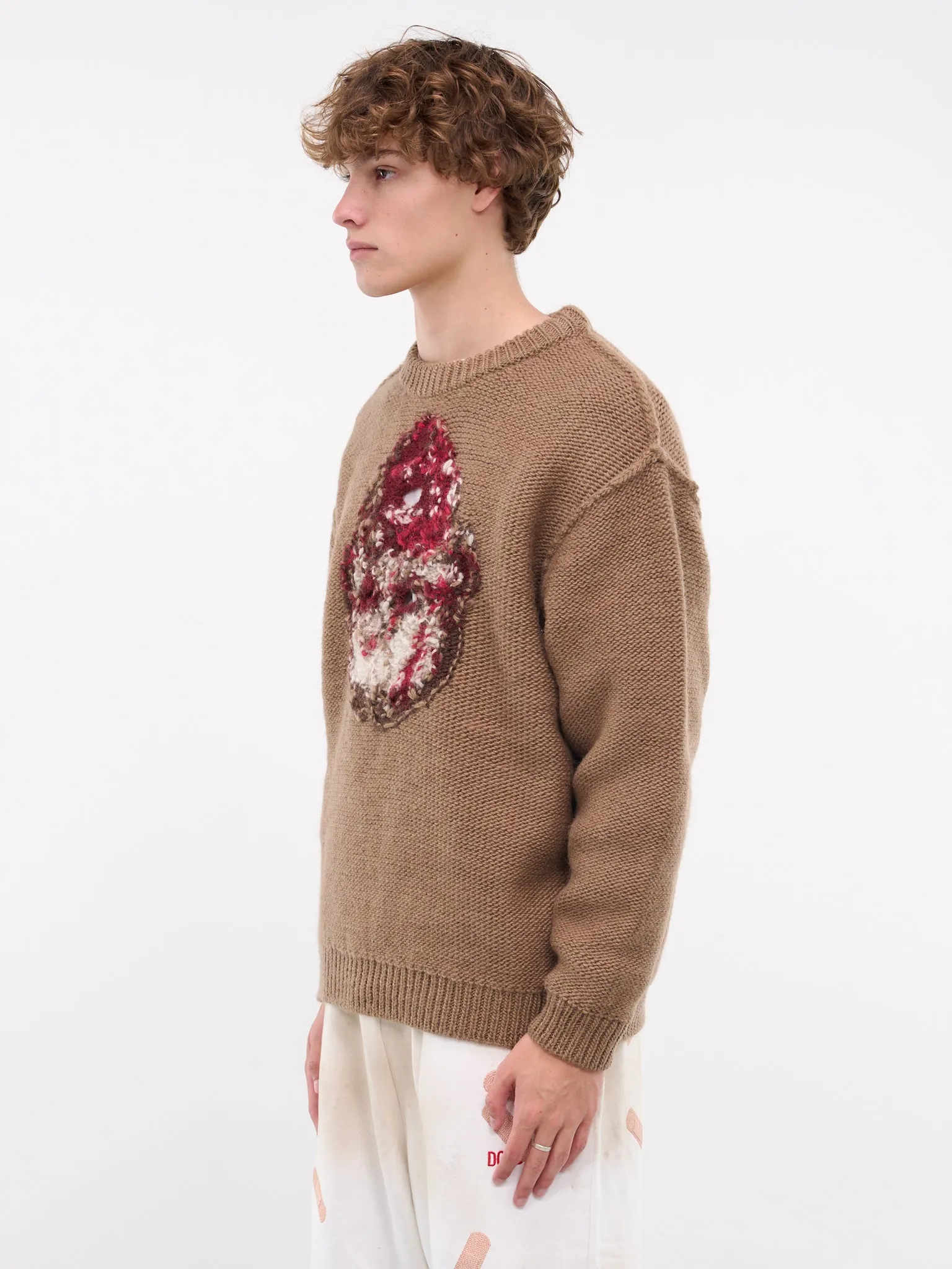 Graphic Embroidered Sweater (60KN155-BROWN)