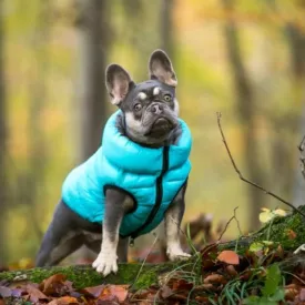 Hugo & Hudson - Reversible Puffer Jacket - Light Blue/Grey