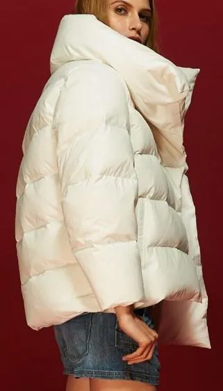 Large Collar Paneled Puffer Down Jacket in White