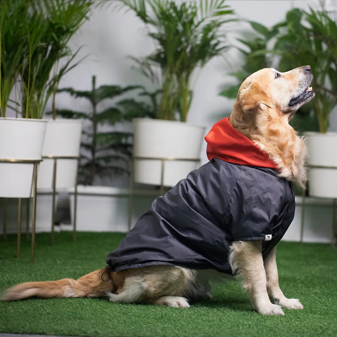 PoochMate Two Toned Rain Coat - Charcoal & Scarlet