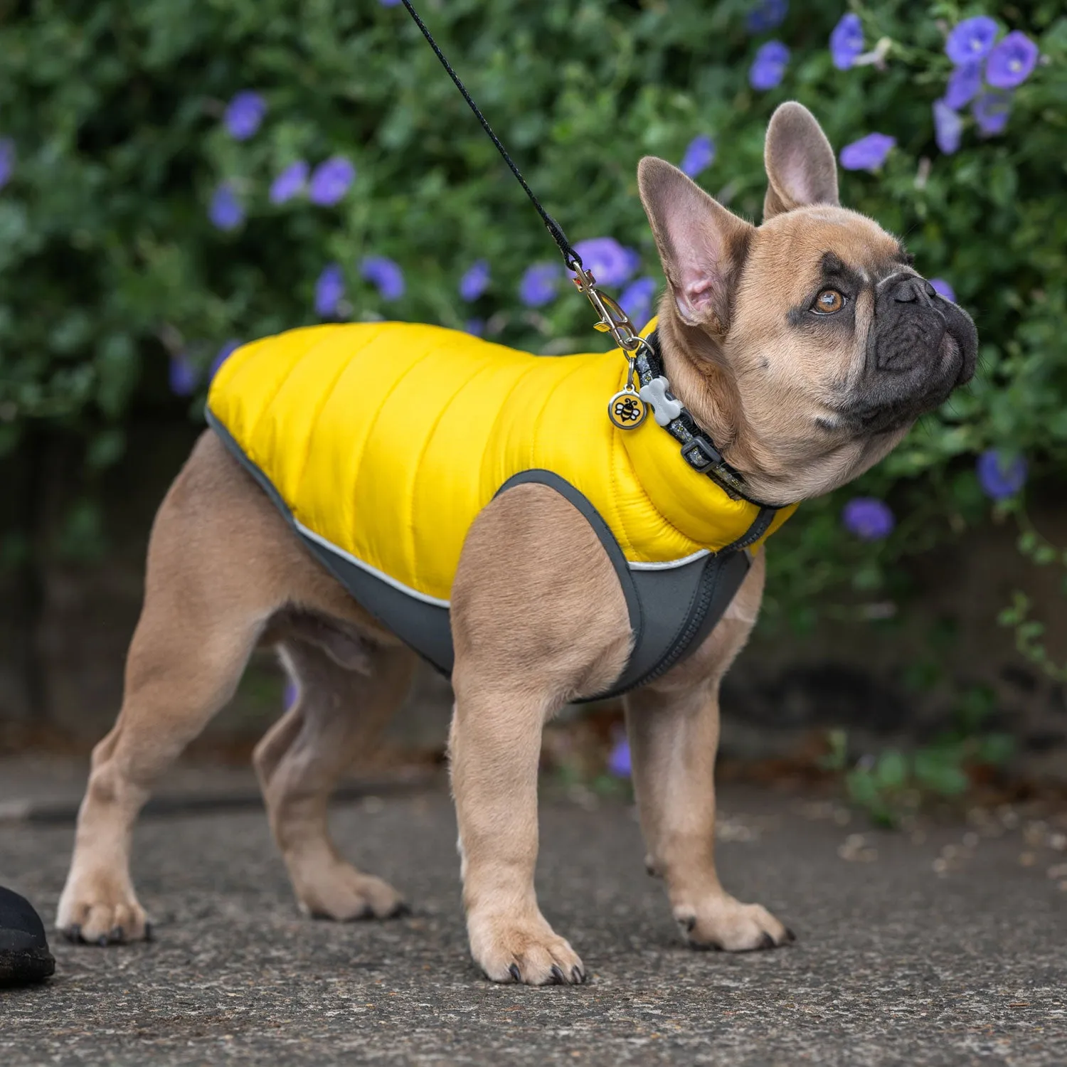 Red Dingo Puffer Jackets