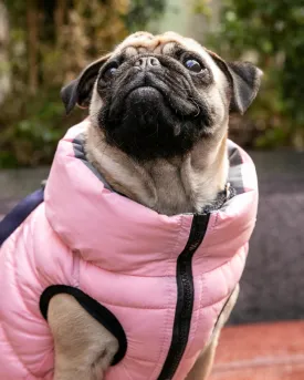 Reversible Dog Puffer Jacket - Light Pink and Grey