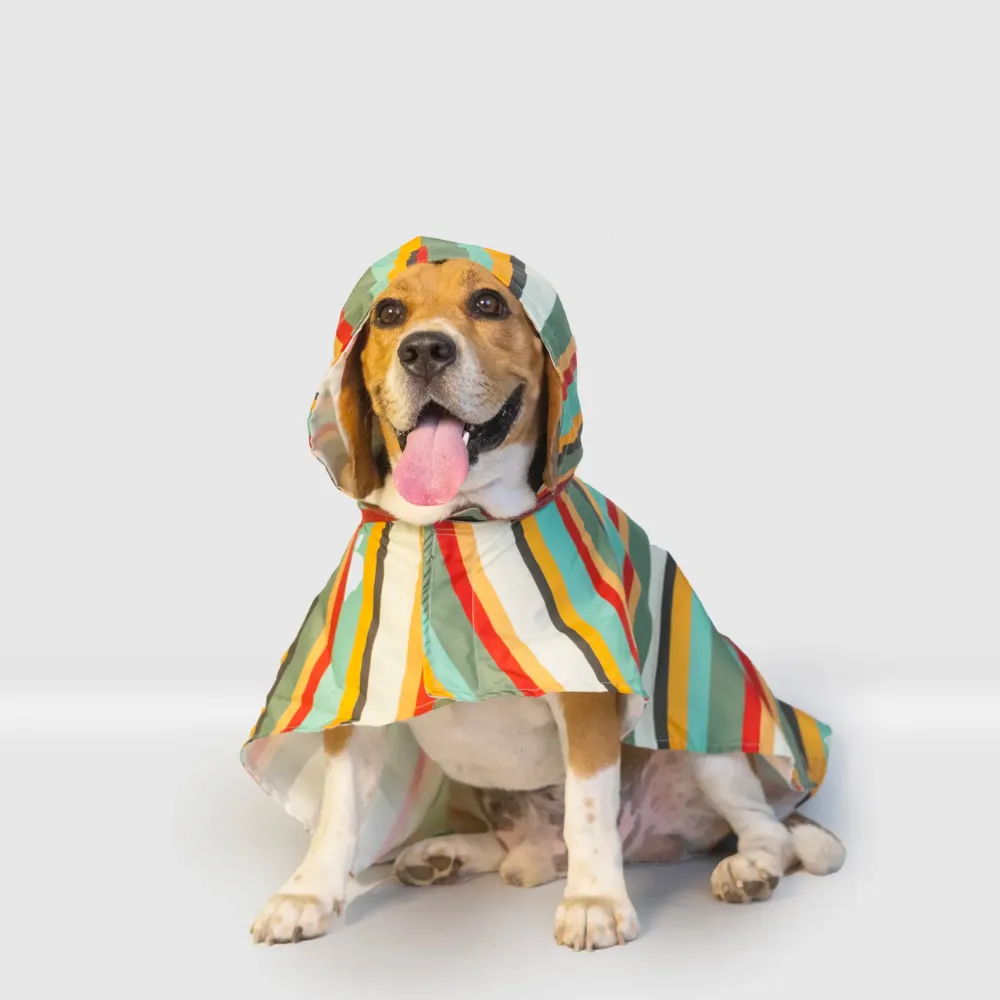 Stripe Printed Cape Style Dog Raincoat